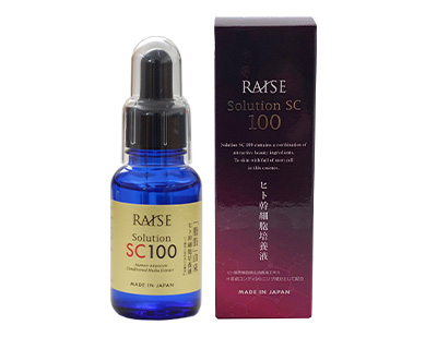 RAISE Solution SC100