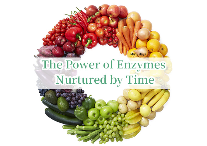 SLIM BEAUTY HOUSE ENZYME RAW FOOD 60包 スリムビューティーハウス